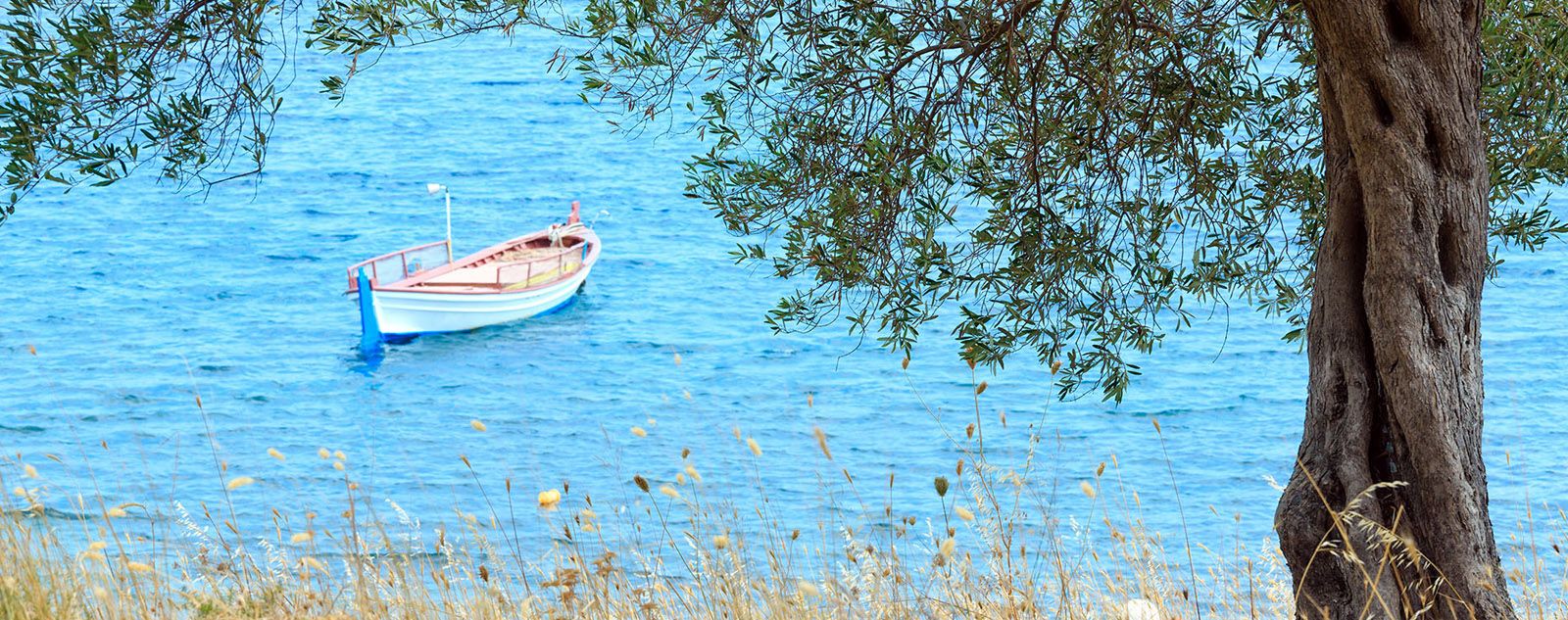 Μετά τις γιορτές ας μπούμε σε μεσογειακή διατροφή