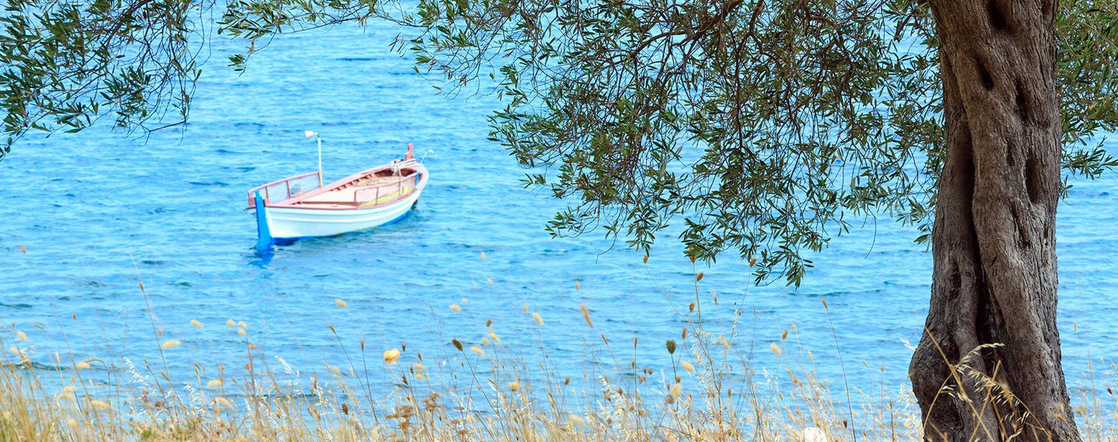 ΜΕΤΑ ΤΙΣ ΓΙΟΡΤΕΣ ΑΣ ΜΠΟΥΜΕ ΣΕ ΜΕΣΟΓΕΙΑΚΗ ΔΙΑΤΡΟΦΗ